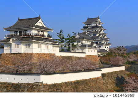 【広島県】満開の桜と復興後の福山城 101445969
