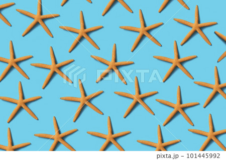 starfish on a blue background starfish on a blue background 101445992
