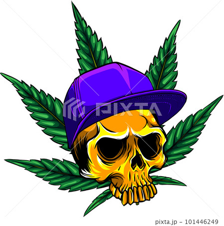 head skull with leaves marijuana and hat vector illustration design head skull with leaves marijuana and hat vector illustration design 101446249