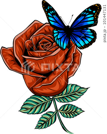 vector illustration of butterfly on red rose on white background 101447131