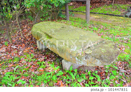 【国指定史跡】牧野古墳 101447831