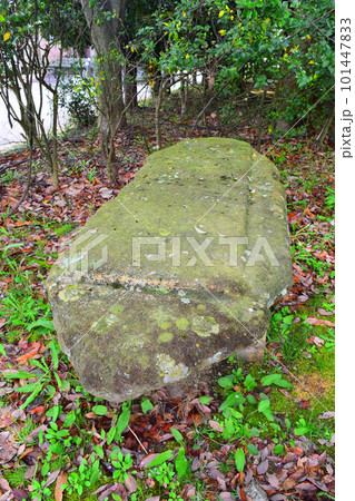 【国指定史跡】牧野古墳 【国指定史跡】牧野古墳 101447833