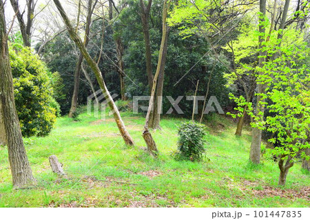 【国指定史跡】牧野古墳 101447835