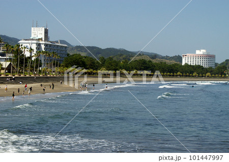 宮崎の人気観光スポット　青島エリア「青島海岸」のトロピカルな景観 101447997