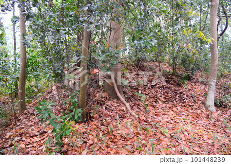 【国指定史跡】佐味田宝塚古墳 101448239