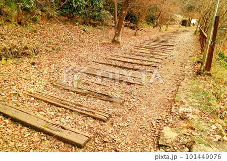 早春の旧福知山線 廃線敷 早春の旧福知山線 廃線敷 101449076