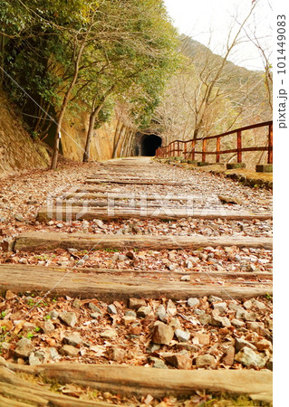 早春の旧福知山線　廃線敷 101449083
