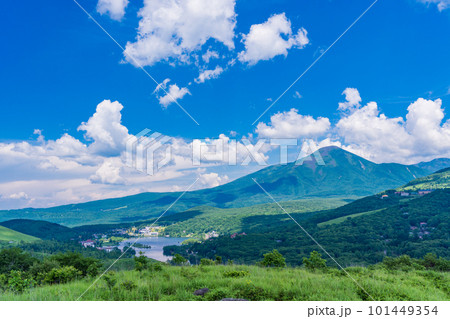 (長野県)夏空の下、白樺湖と蓼科山 (長野県)夏空の下、白樺湖と蓼科山 101449354