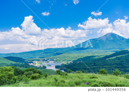 (長野県)夏空の下、白樺湖と蓼科山 (長野県)夏空の下、白樺湖と蓼科山 101449356