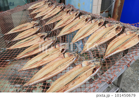 鯖の干物 鯖の干物 101450679