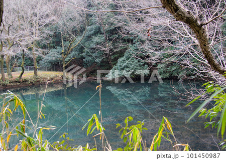 二上山登山道に面した上ノ池　水の色が神秘的 101450987