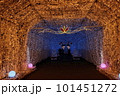 御殿場・時之栖のイルミネーション 101451272
