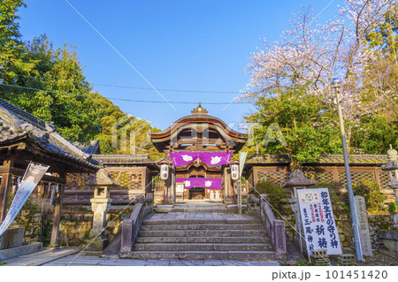 三尾神社（うさぎ神社）神門　拝殿（滋賀県大津市） 101451420