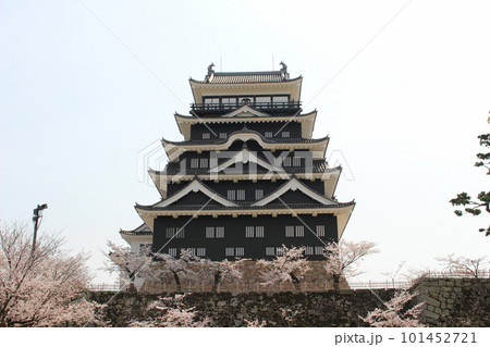福山城天守北側の鉄板張りと桜 101452721