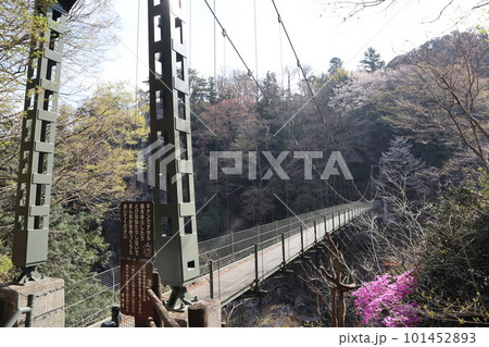 国の名勝・天竜峡の吊り橋 つつじ橋, 国の名勝・天竜峡の吊り橋 つつじ橋, 101452893