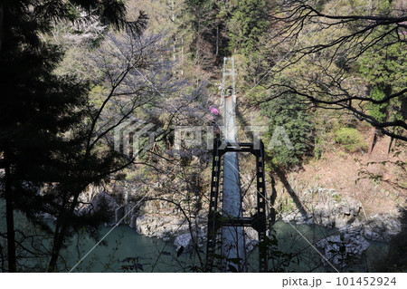 国の名勝・天竜峡の吊り橋 つつじ橋, 国の名勝・天竜峡の吊り橋 つつじ橋, 101452924