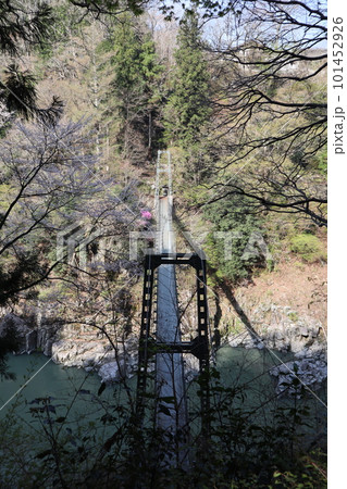 国の名勝・天竜峡の吊り橋 つつじ橋, 国の名勝・天竜峡の吊り橋 つつじ橋, 101452926