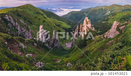 Rock spires of mount Shpytsi. Chornohora ridge, Carpathian mountains, Ukraine. 101453021