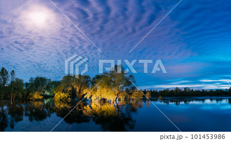 panorama Night landscape with Trees that Standing In Water During Spring Flood floodwaters in moonlight. Trees woods in Water deluge During A Spring Flood. Beautiful spring landscape with reflection 101453986