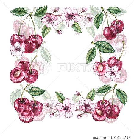 Watercolor cherry frame on a white background 101454298