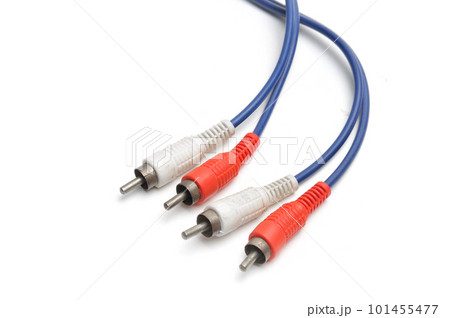 Stereo analog cable with tulip RCA plug on white background Stereo analog cable with tulip RCA plug on white background 101455477