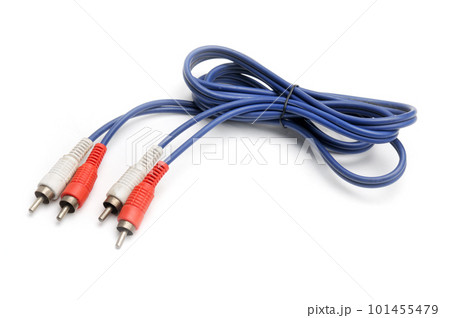 Stereo analog cable with tulip RCA plug on white background Stereo analog cable with tulip RCA plug on white background 101455479