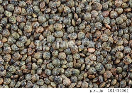 raw french green lentils as a background. Top view. Flat lay 101456363