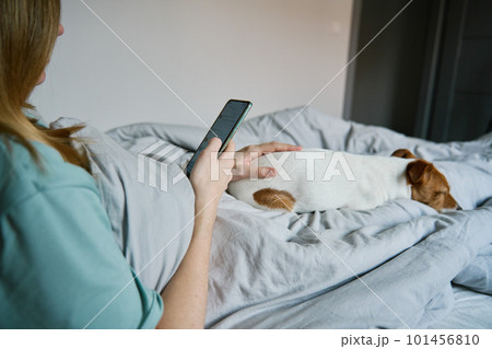 Woman with cute dog chilling in bed at morning and use smartphone, lazy morning. Spending time together, pet affection Woman with cute dog chilling in bed at morning and use smartphone, lazy morning. Spending time together, pet affection 101456810