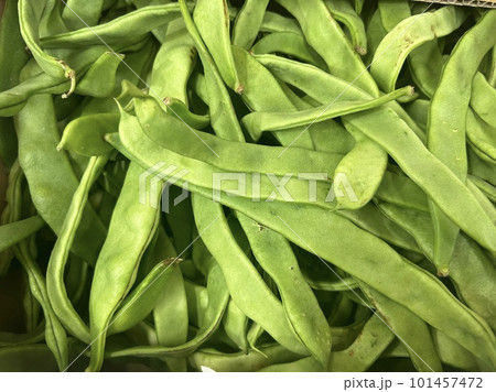 ヒラサヤインゲン　直売所 101457472