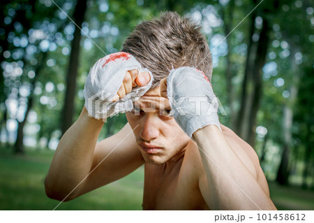 boxer is training 101458612