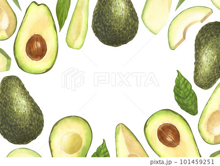 Watercolor frame, ripe avocado and halves avocado. Hand-drawn illustration isolated on white background. Perfect concept food menu, food drawing, design packing, healthy eating 101459251