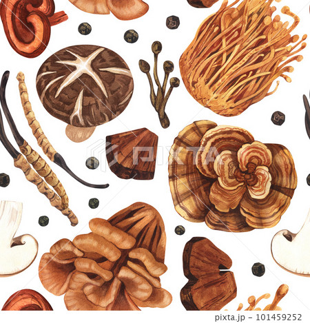 Watercolor seamless pattern medicinal mushroom, adaptogenic plant. Hand-drawn illustration isolated on white background. Perfect concept for healthy chinese medicine popular superfood, design packing. 101459252