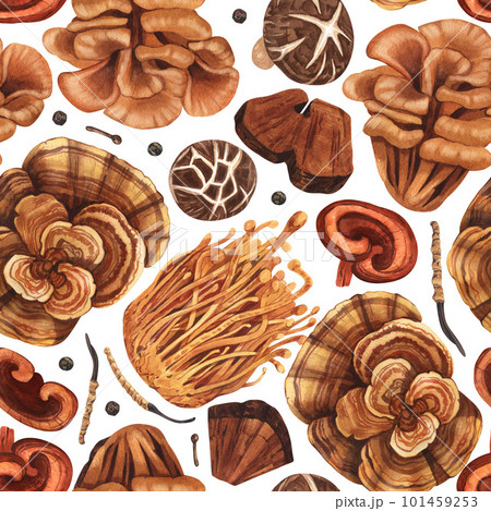 Watercolor seamless pattern medicinal mushroom, adaptogenic plant. Hand-drawn illustration isolated on white background. Perfect concept for healthy chinese medicine popular superfood, design packing. Watercolor seamless pattern medicinal mushroom, adaptogenic plant. Hand-drawn illustration isolated on white background. Perfect concept for healthy chinese medicine popular superfood, design packing. 101459253
