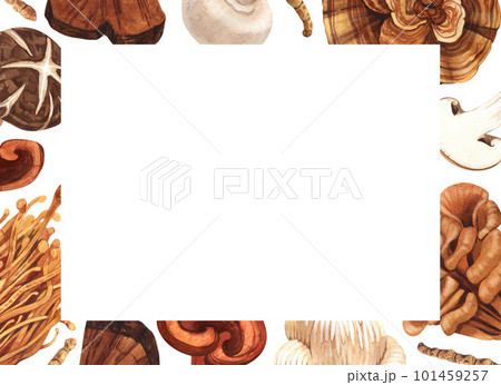 Watercolor medicinal mushroom frame, adaptogenic plant. Hand-drawn illustration isolated on white background. Perfect concept for healthy chinese medicine popular superfood, design packing. Watercolor medicinal mushroom frame, adaptogenic plant. Hand-drawn illustration isolated on white background. Perfect concept for healthy chinese medicine popular superfood, design packing. 101459257