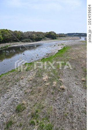 栃木県 大田原市 那珂川 河川敷の風景 栃木県 大田原市 那珂川 河川敷の風景 101459664