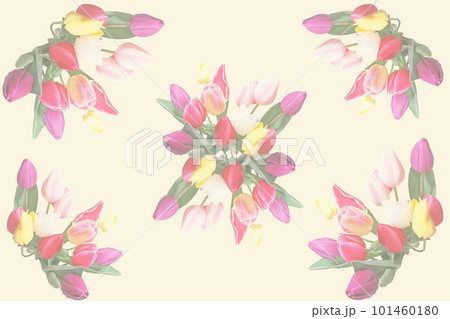 カラフルなチューリップの花束 カラフルなチューリップの花束 101460180