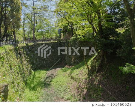 岡崎城清海堀 101460628