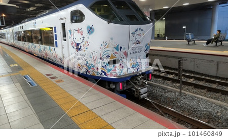 新大阪駅に停車する関空特急はるか 101460849