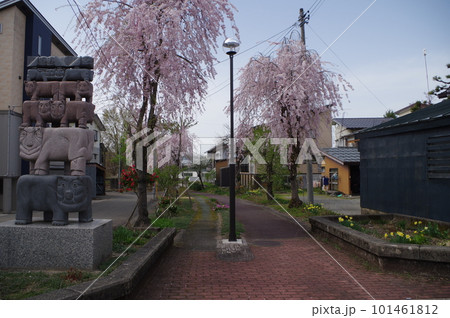 本日のお品は桜のてんこ盛りで御座います 101461812
