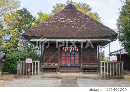 伊佐沼薬師神社 社殿 川越伊佐沼付近 伊佐沼薬師神社 社殿 川越伊佐沼付近 101462209