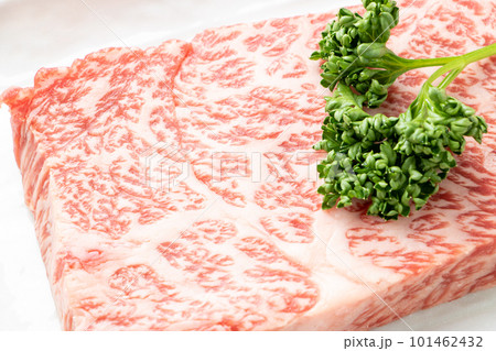 ステーキ用牛肉のアップ。希少部位といわれるハネシタ(ザブトン)。 ステーキ用牛肉のアップ。希少部位といわれるハネシタ(ザブトン)。 101462432