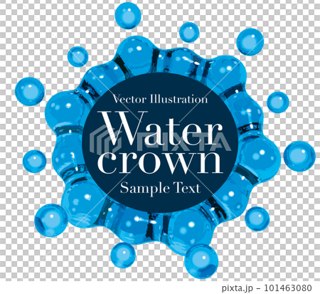 逼真的水皇冠會徽矢量圖示例字母 101463080