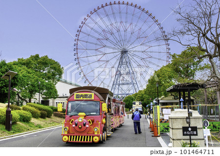 東京都　葛西臨海公園　園内周遊　パークトレイン 101464711