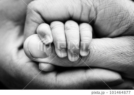 Close-up of the small hand of the child and the hand of the mother and father. A newborn baby after birth clings tightly to the finger of its parents. Black and white professional studio macro photo Close-up of the small hand of the child and the hand of the mother and father. A newborn baby after birth clings tightly to the finger of its parents. Black and white professional studio macro photo 101464877