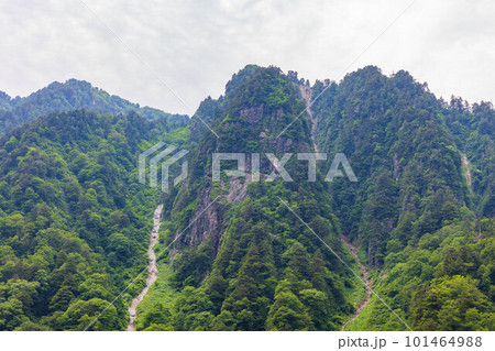 日本の車窓から　緑深い黒部峡谷鉄道 101464988
