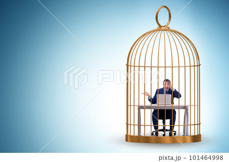 Businessman caught in the cage 101464998