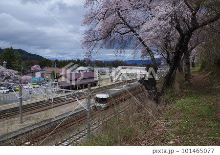 JR洗馬駅の桜と電車 101465077