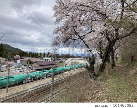 JR洗馬駅の桜と電車 JR洗馬駅の桜と電車 101465082