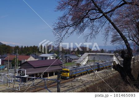 JR洗馬駅の桜と電車 JR洗馬駅の桜と電車 101465093