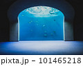 四国水族館 101465218
